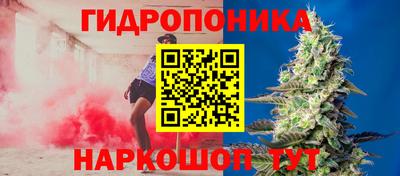 гидропоника Славгород