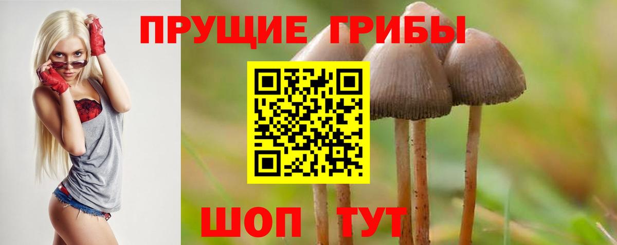 Галлюциногенные грибы Psilocybine cubensis  Вход с VPN  Орск 